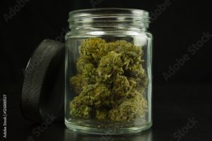 Weed Weight Basics: Grams in an Ounce