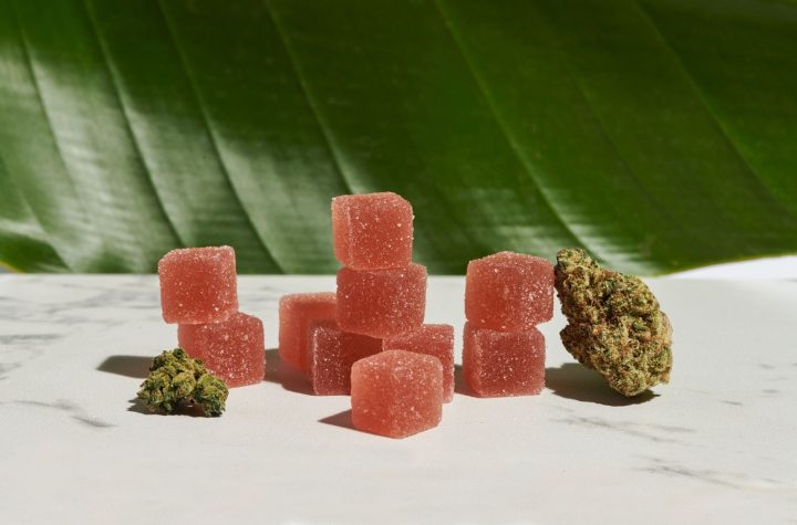 A Sweet Treat Revolution Exploring the World of Gummy Cubes