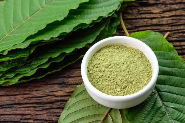 The Zen of White Thai Exploring the Uplifting Effects of Thailand’s Signature Kratom