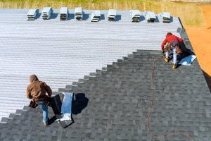 From Repairs to New Builds: Wellington Roofing Contractors at Your Service