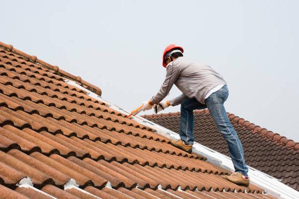 What to Look for in a Longwood Roof Installation Service